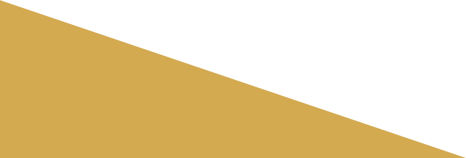 企業(yè)網(wǎng)站營銷,手機網(wǎng)站建設，響應式網(wǎng)站，門戶平臺型網(wǎng)站等